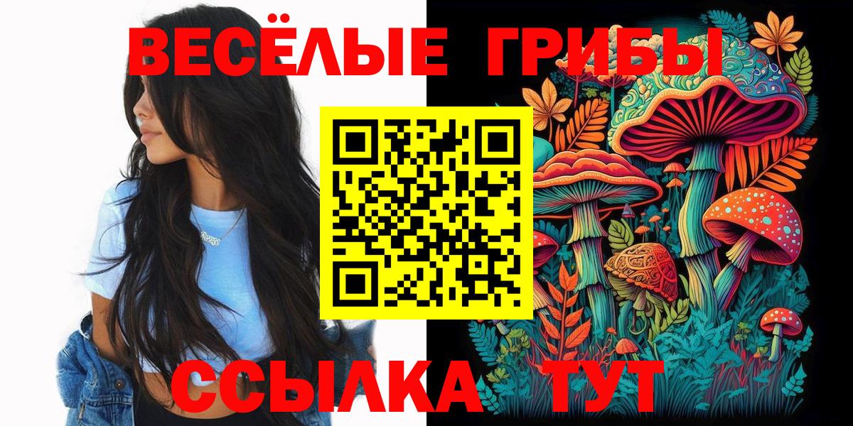 Галлюциногенные грибы мухоморы Гудермес