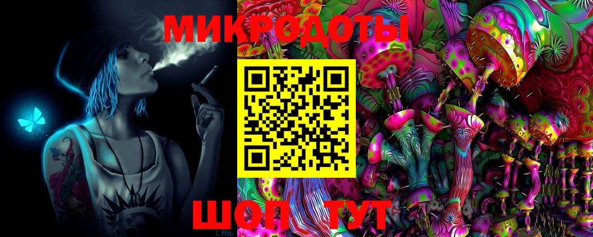 Псилоцибиновые грибы Psilocybine cubensis  Вход с VPN  Гудермес 