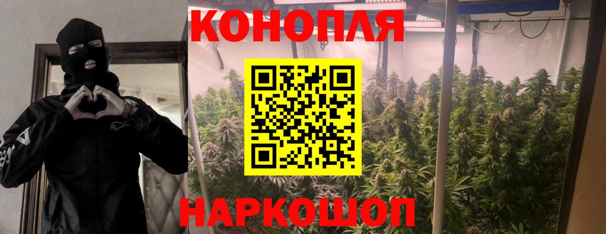 Бошки марихуана тримм  Бошки марихуана White Widow  Марихуана THC 21%  Вход с VPN  Гудермес 